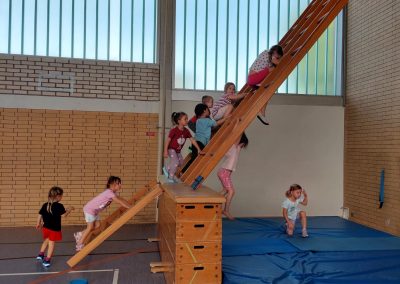 Die Sprossenleiter als Kletterstation